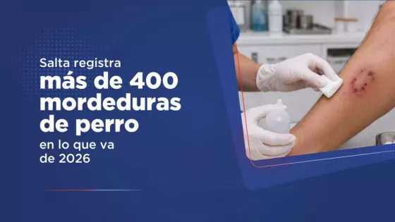 Son más de 400 las mordeduras de perro registradas en lo que va del año
