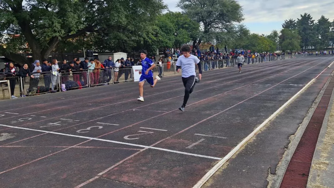 Salta pone en marcha los Juegos Interescolares 2026