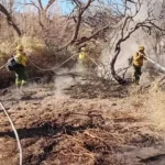 Son más de 200 hectáreas las afectadas por los incendio en Cafayate
