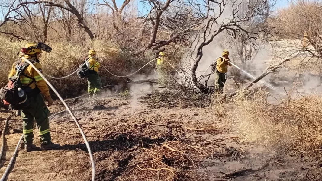 Son más de 200 hectáreas las afectadas por los incendio en Cafayate
