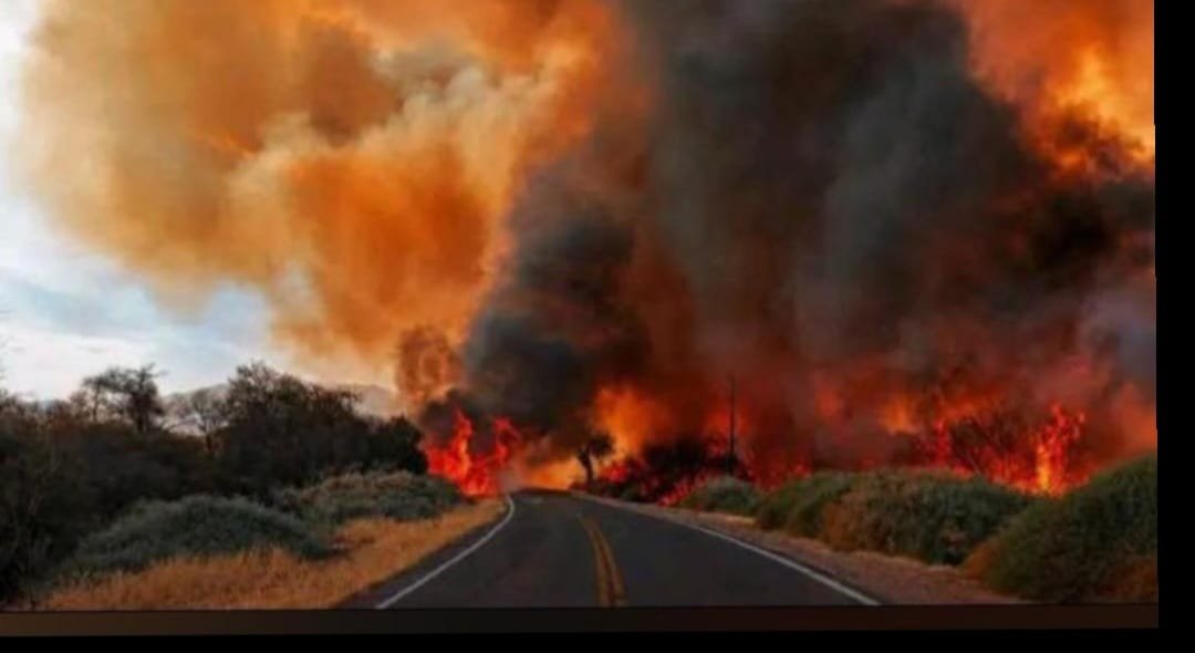 Cafayate atraviesa una situación crítica por los incendios y solicitan asistencia urgente al Gobierno provincial