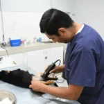 Así será el cronograma del Móvil de Castración de la próxima semana