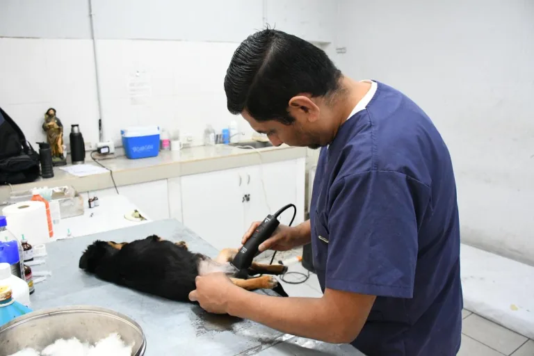 Así será el cronograma del Móvil de Castración de la próxima semana