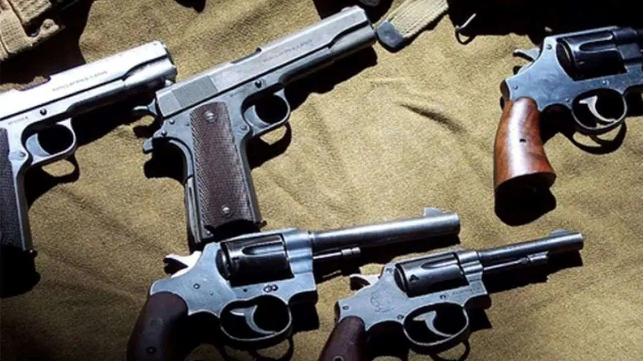 El Gobierno promulgó la ley que permite regularizar armas sin registro