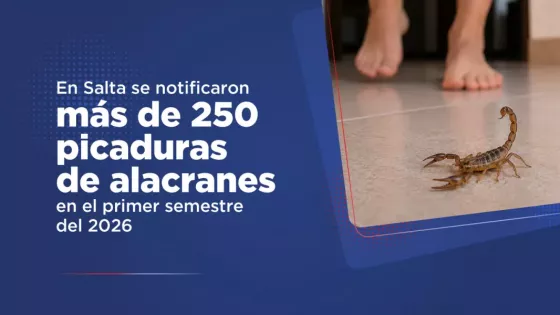 Más de 250 picaduras de alacranes fueron notificadas durante el primer semestre en la provincia