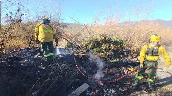 Ayer, la Municipalidad trabajó para sofocar 5 incendios forestales