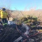 La Brigada Forestal trabajĂł en distintas zonas por incendios de pastizales