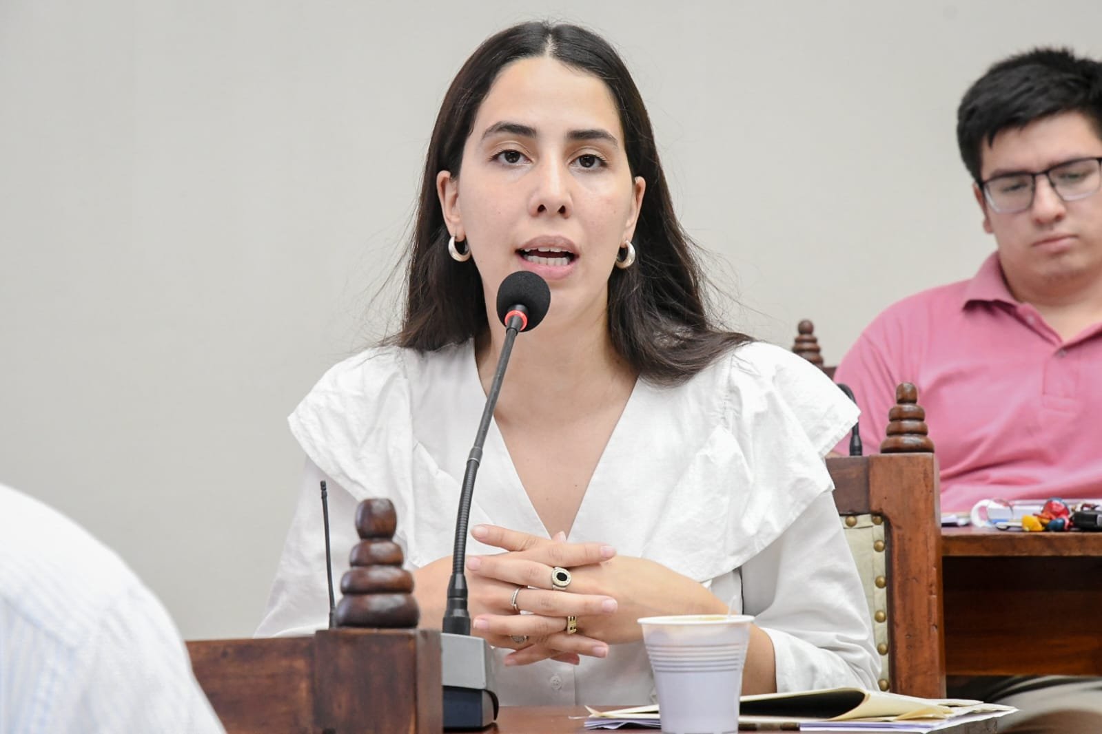 El Concejo aprobó por unanimidad el proyecto de Agustina Álvarez para evitar multas a quienes estacionen frente a su propio garage