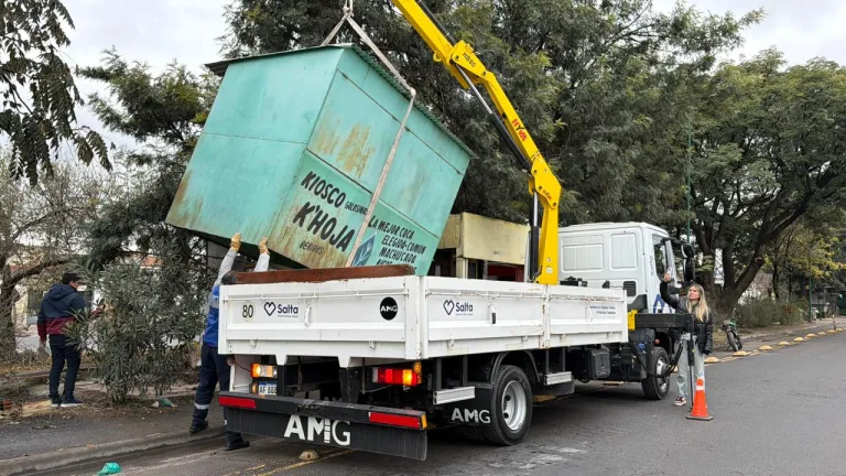 Espacios Públicos: se retiraron dos estructuras en zona sur