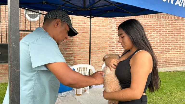 Operativo de vacunación antirrábica: se visitarán cuatro barrios la próxima semana