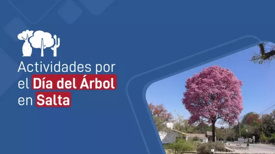 Día del Árbol: Salta impulsa la conservación del patrimonio natural y promueve la conciencia ambiental