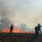 El fin de semana el municipio intervino en 29 incidentes causados por el viento y el fuego
