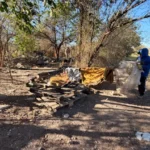 La Municipalidad limpió un nuevo predio ocupado indebidamente