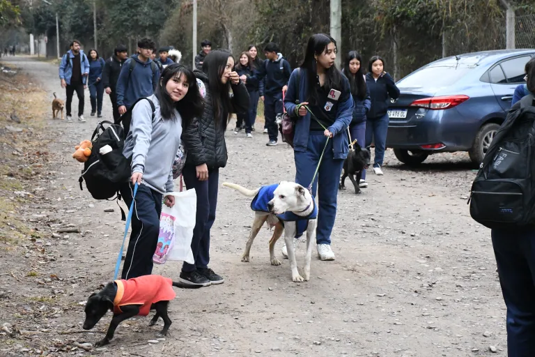 En el Centro de Adopciones habrá una celebración en honor a San Roque