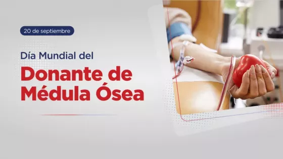 DĂa Mundial del Donante de MĂ©dula Ă“sea: Salta se consolida como referente regional en captaciĂłn y trasplantes
