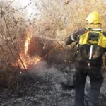 Salta bajo alerta: existe riesgo de incendios forestales