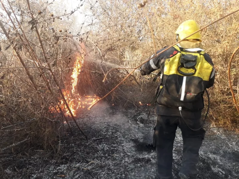 Salta bajo alerta: existe riesgo de incendios forestales
