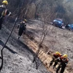 La Municipalidad intervino para sofocar un incendio de gran magnitud en la zona de Aunor