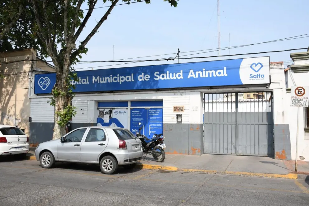 El nuevo Hospital Municipal de Salud Animal ya alcanza un 40% de avance: cuándo estarÃa terminado