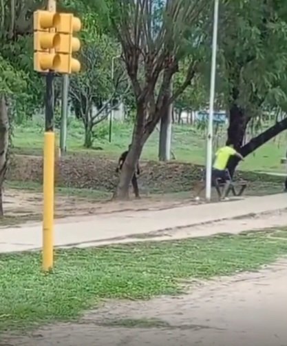 Tartagal: seis policĆas armados, batallaron para reducir a un hombre con un cuchillo