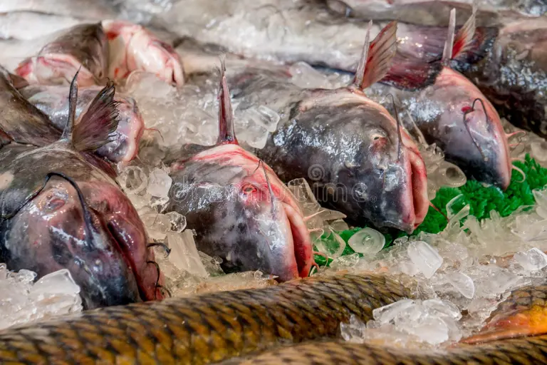 Semana del Pescado en el mercado San Miguel: conocé los precios y promociones